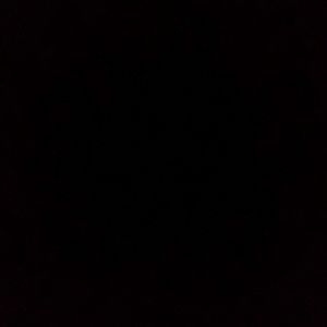 Meet your Posher, Damon